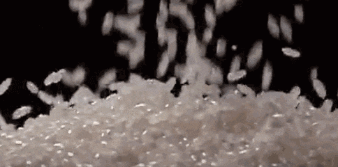 1618566614159302.gif 123123.gif